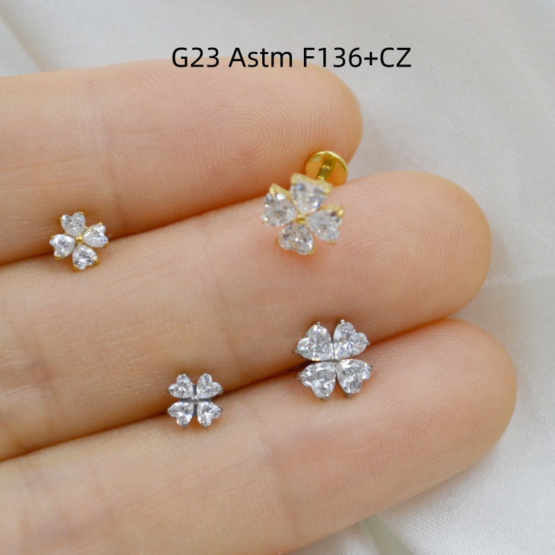 Body Jewelry Store - AMIGATINA Großhandel 10 Stk. G23 Titan