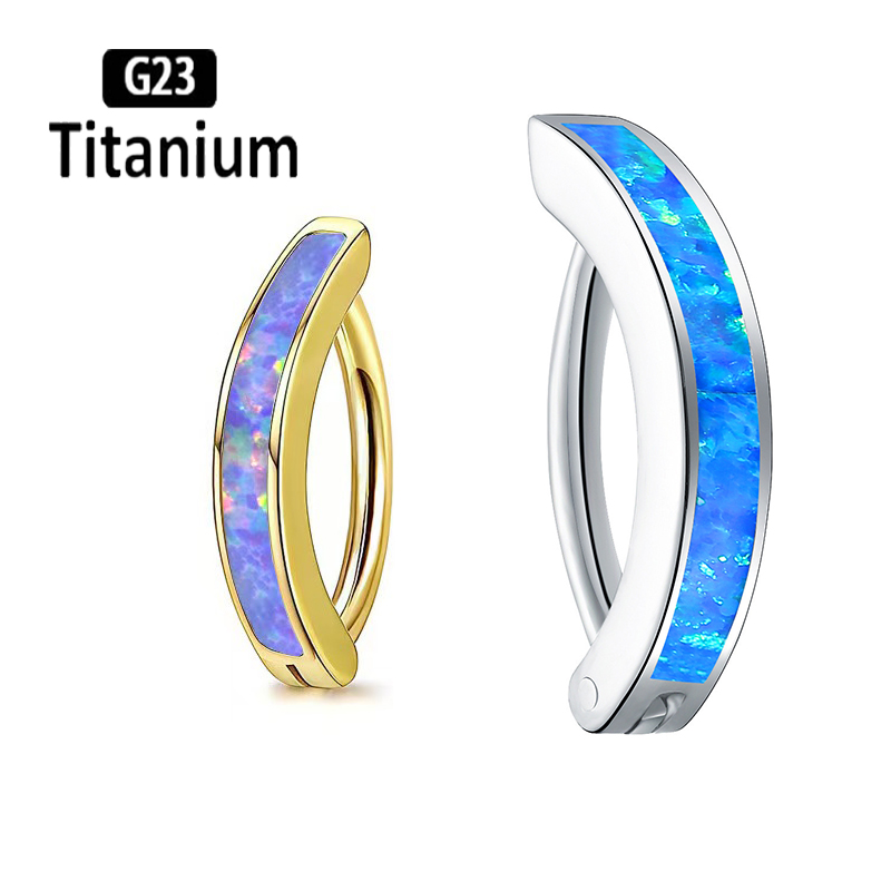 Body Jewelry Implant Grade Titanium - 1 STÜCK 14G Implantatqualität G23 Titan
