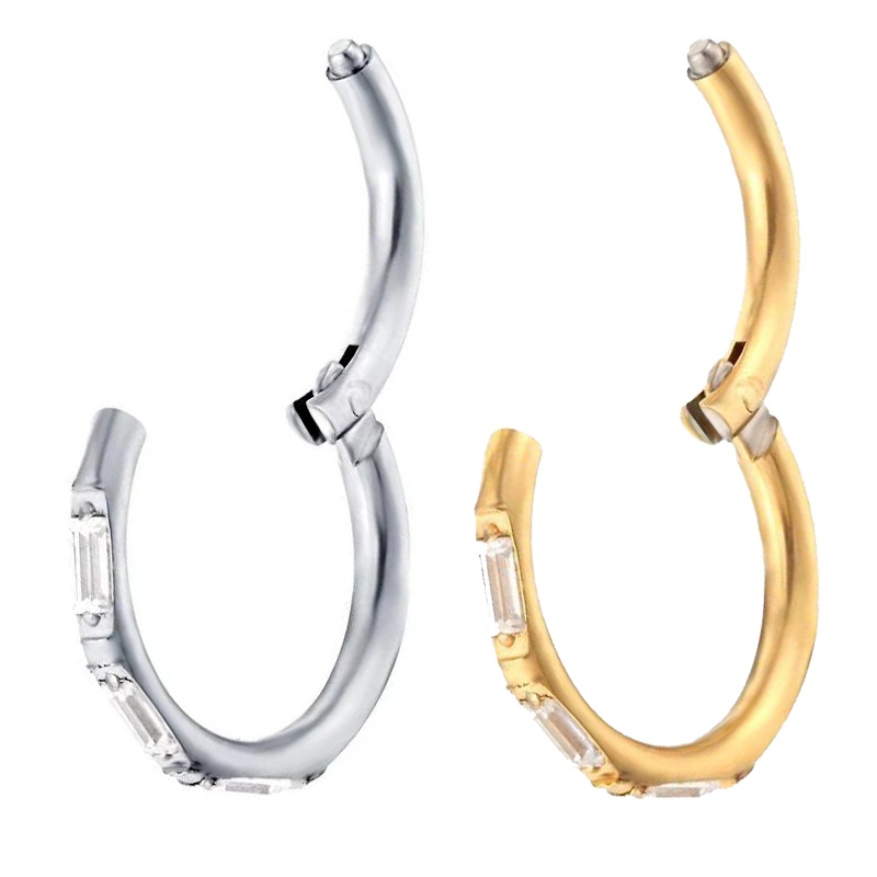 ASTM F136 Titan Ohrringe Hohe  – Body Jewelry Quality Bewertung und Preis