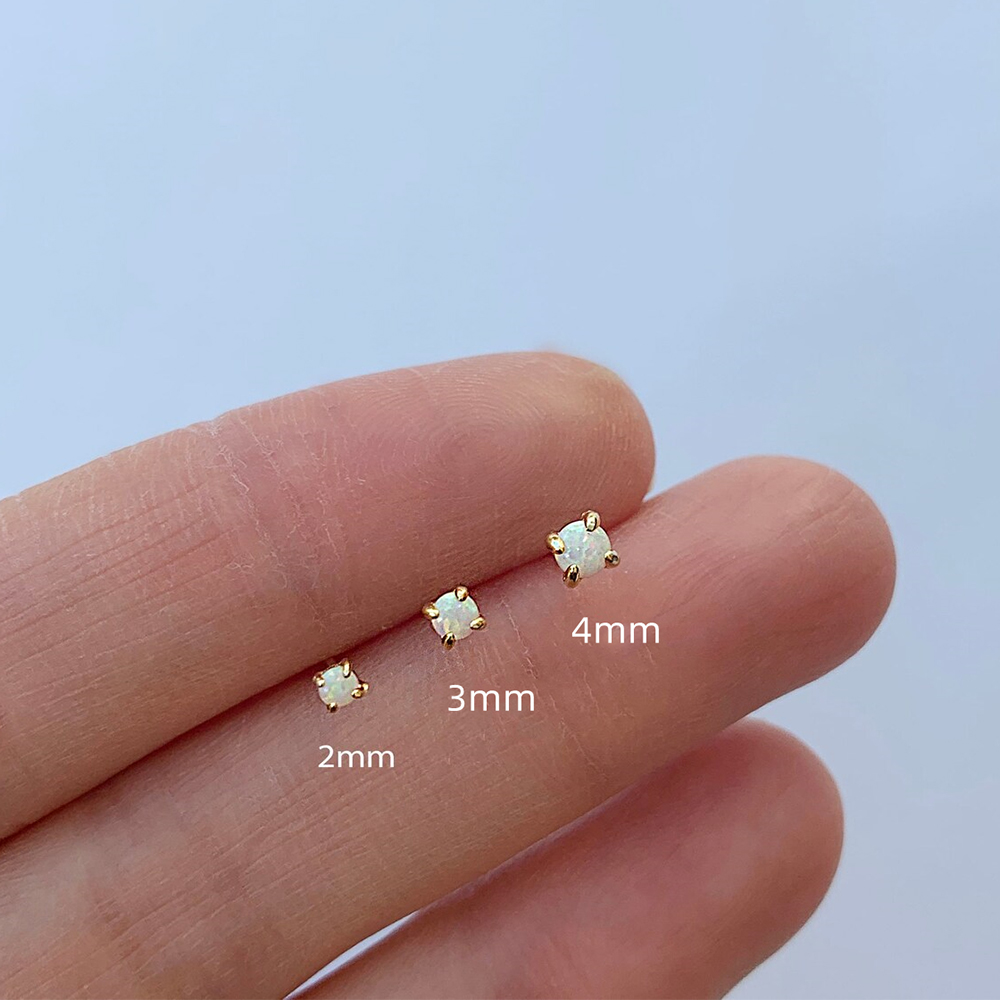 Roxi 925 Sterling Silber Ohrri – Body Jewelry Kit Bewertung und Preis