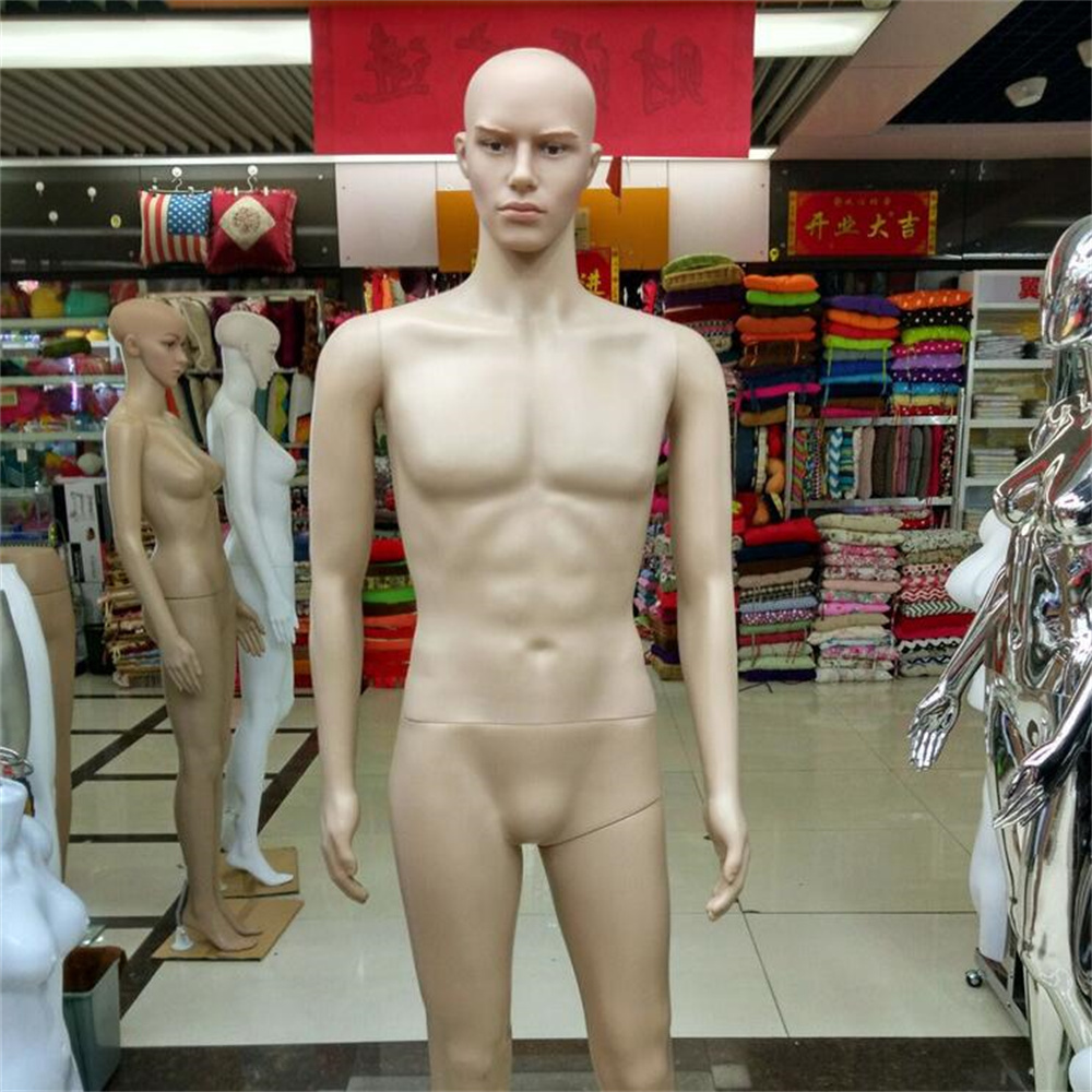 183 cm Vollplastik-Torso-Schau – Body Jewelry Plus Bewertung und Preis