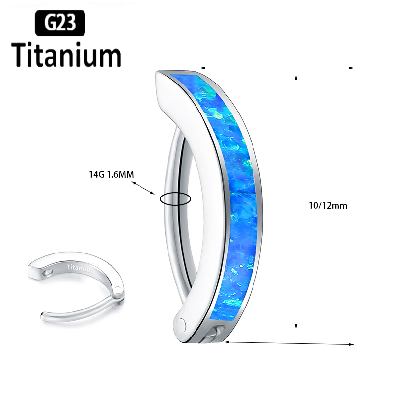 1 STÜCK 14G Implantatqualität  – Body Jewelry Implant Grade Titanium Bewertung und Preis