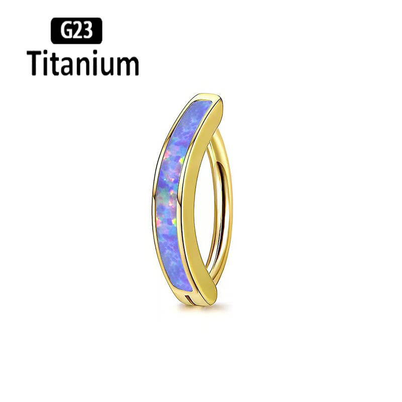 1 STÜCK 14G Implantatqualität  – Body Jewelry Implant Grade Titanium Bewertung und Preis