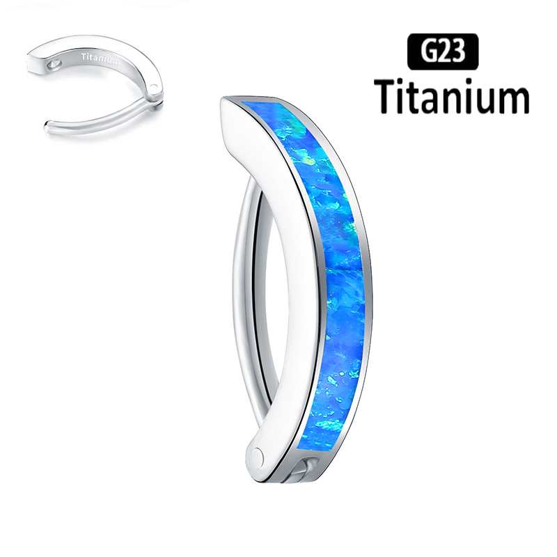 1 STÜCK 14G Implantatqualität  – Body Jewelry Implant Grade Titanium Bewertung und Preis