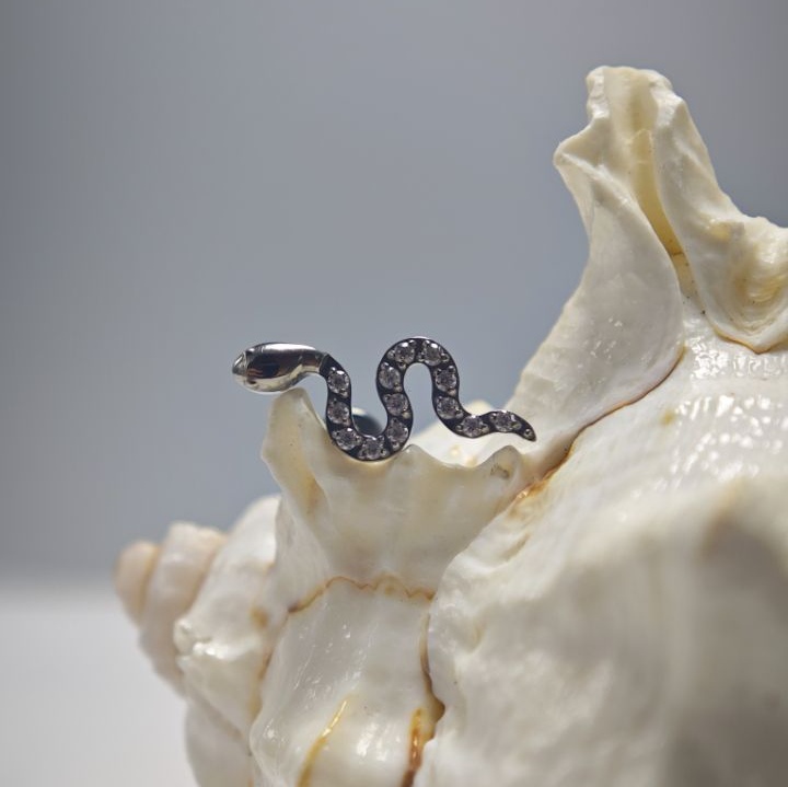 16G Titan-Implantatqualität, h – Body Jewelry Implant Grade Titanium Bewertung und Preis