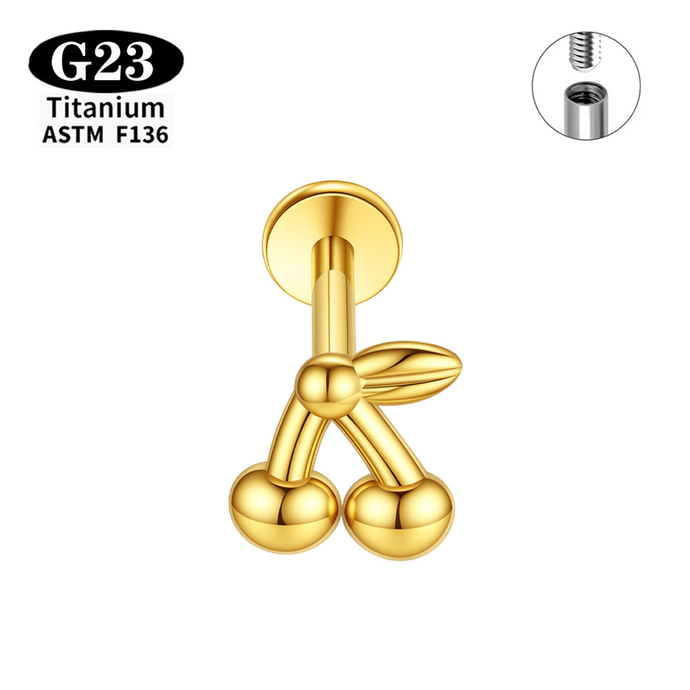 Implantatgeeigneter ASTM F136  – Body Jewelry Implant Grade Titanium Bewertung und Preis
